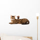Bengal Cat and Chihuahua Wall Decal