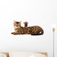 Bengal Cat and Chihuahua Wall Decal