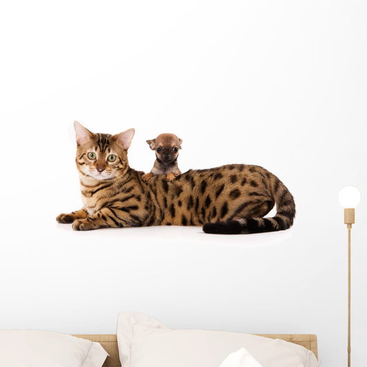 Bengal Cat and Chihuahua Wall Decal