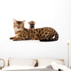 Bengal Cat and Chihuahua Wall Decal