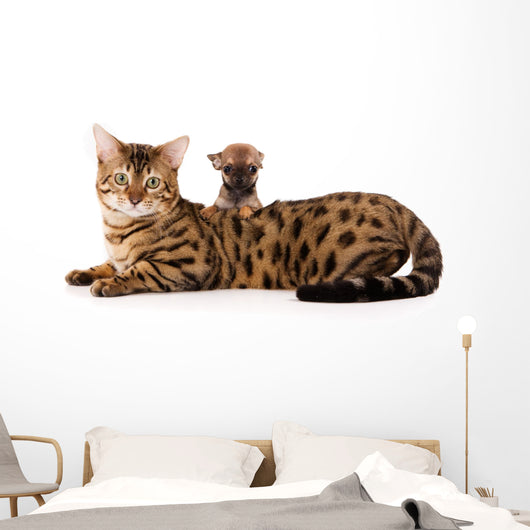 Bengal Cat and Chihuahua Wall Decal