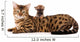 Bengal Cat and Chihuahua Wall Decal
