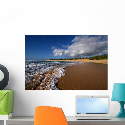 Tropical Hawaiian Beach and Wall Decal