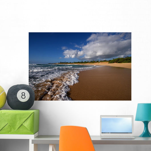 Tropical Hawaiian Beach and Wall Decal