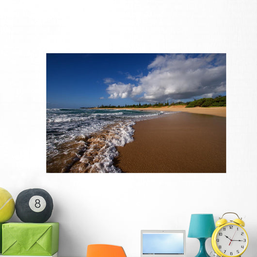 Tropical Hawaiian Beach and Wall Decal