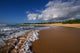 Tropical Hawaiian Beach and Wall Decal