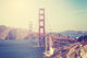 Vintage Toned Picture Golden Wall Decal