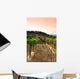 Vineyard Rolling Hills Tuscany Wall Decal