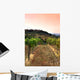 Vineyard Rolling Hills Tuscany Wall Decal