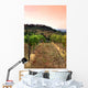 Vineyard Rolling Hills Tuscany Wall Decal