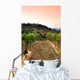 Vineyard Rolling Hills Tuscany Wall Decal