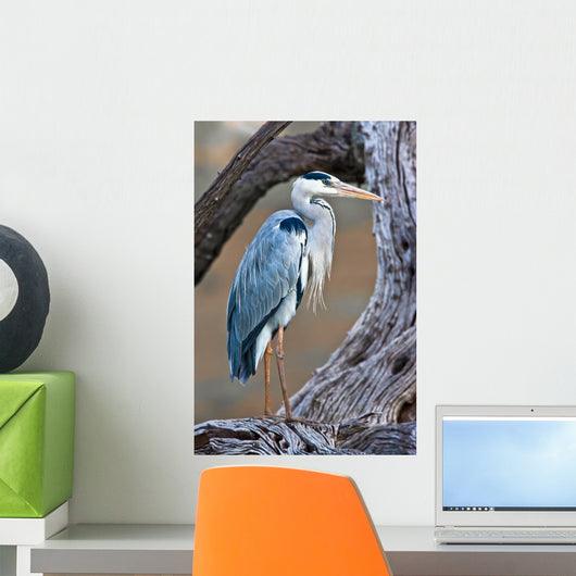 Grey Heron Standing Tree Wall Decal