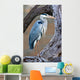 Grey Heron Standing Tree Wall Decal