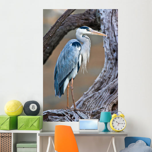 Grey Heron Standing Tree Wall Decal