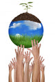 Green Planet Earth Environment Wall Decal