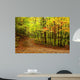 Dirt Road to Fall Wall Decal