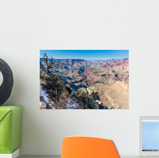 Paisaje Del Gran Canon Wall Decal