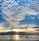 Altocumulus Clouds over Beach Wall Decal