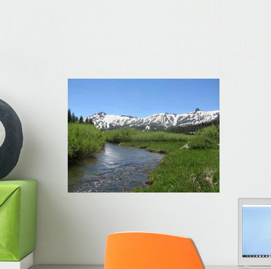 Kirkwood Mountain Stream 2 Wall Decal