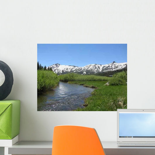 Kirkwood Mountain Stream 2 Wall Decal