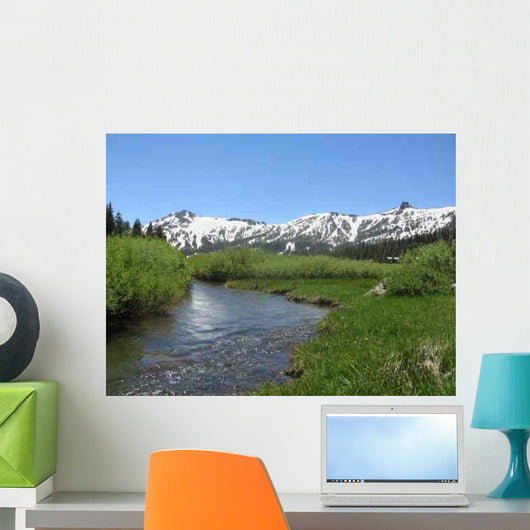 Kirkwood Mountain Stream 2 Wall Decal