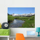 Kirkwood Mountain Stream 2 Wall Decal