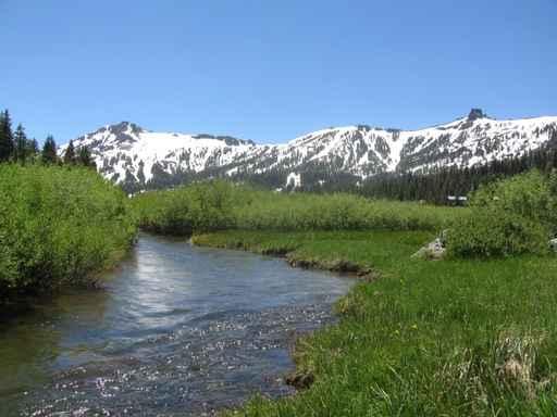 Kirkwood Mountain Stream 2 Wall Decal