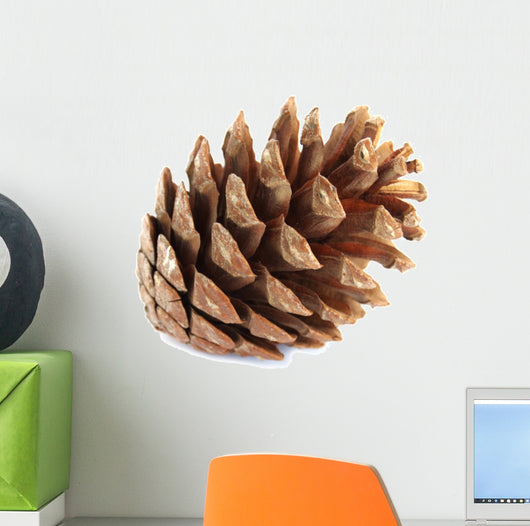 Pine Cone Wall Decal