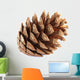 Pine Cone Wall Decal