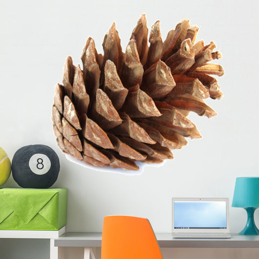 Pine Cone Wall Decal