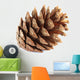 Pine Cone Wall Decal