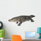 American Alligator 30 Years Wall Decal