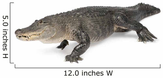 American Alligator 30 Years Wall Decal