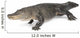 American Alligator 30 Years Wall Decal