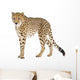 Cheetah Wall Decal