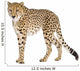Cheetah Wall Decal