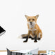 Red Fox Wall Decal