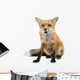 Red Fox Wall Decal