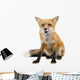 Red Fox Wall Decal