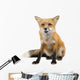 Red Fox Wall Decal