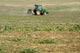 Tractor Tilling Field Wall Decal