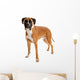 Fawn-colored Boxer Wall Decal