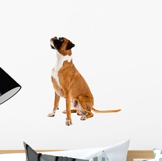 Fawn-colored Boxer Wall Decal