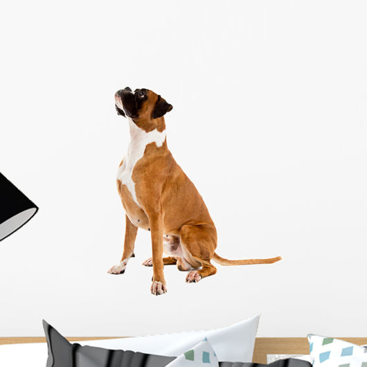 Fawn-colored Boxer Wall Decal