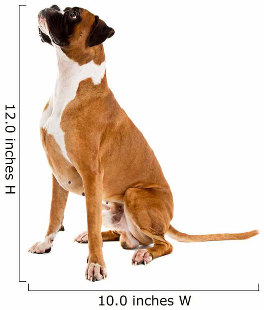 Fawn-colored Boxer Wall Decal