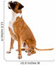 Fawn-colored Boxer Wall Decal