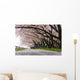 Cherry Blossom Wall Decal Design 2