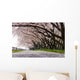 Cherry Blossom Wall Decal Design 2