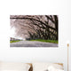 Cherry Blossom Wall Decal Design 2