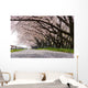 Cherry Blossom Wall Decal Design 2